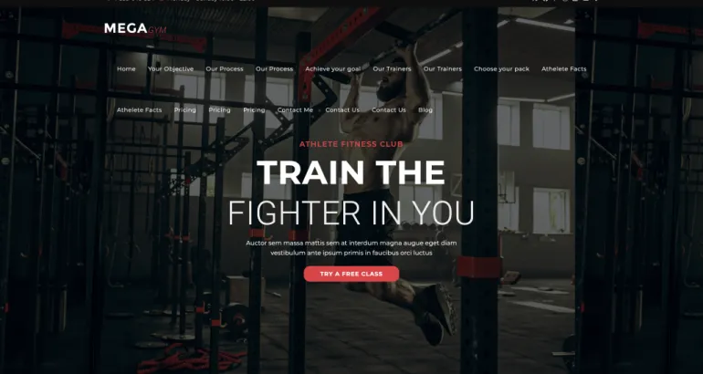 Ocean WP Theme Site